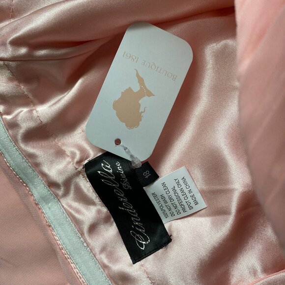 Boutique 1861 Pink Chiffon Dress - NWT, Plus Size 18 - Picture 6 of 15